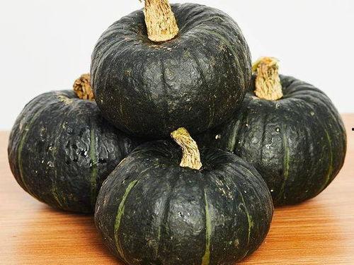 成人南瓜视频下载,成人南瓜视频一键获取指南